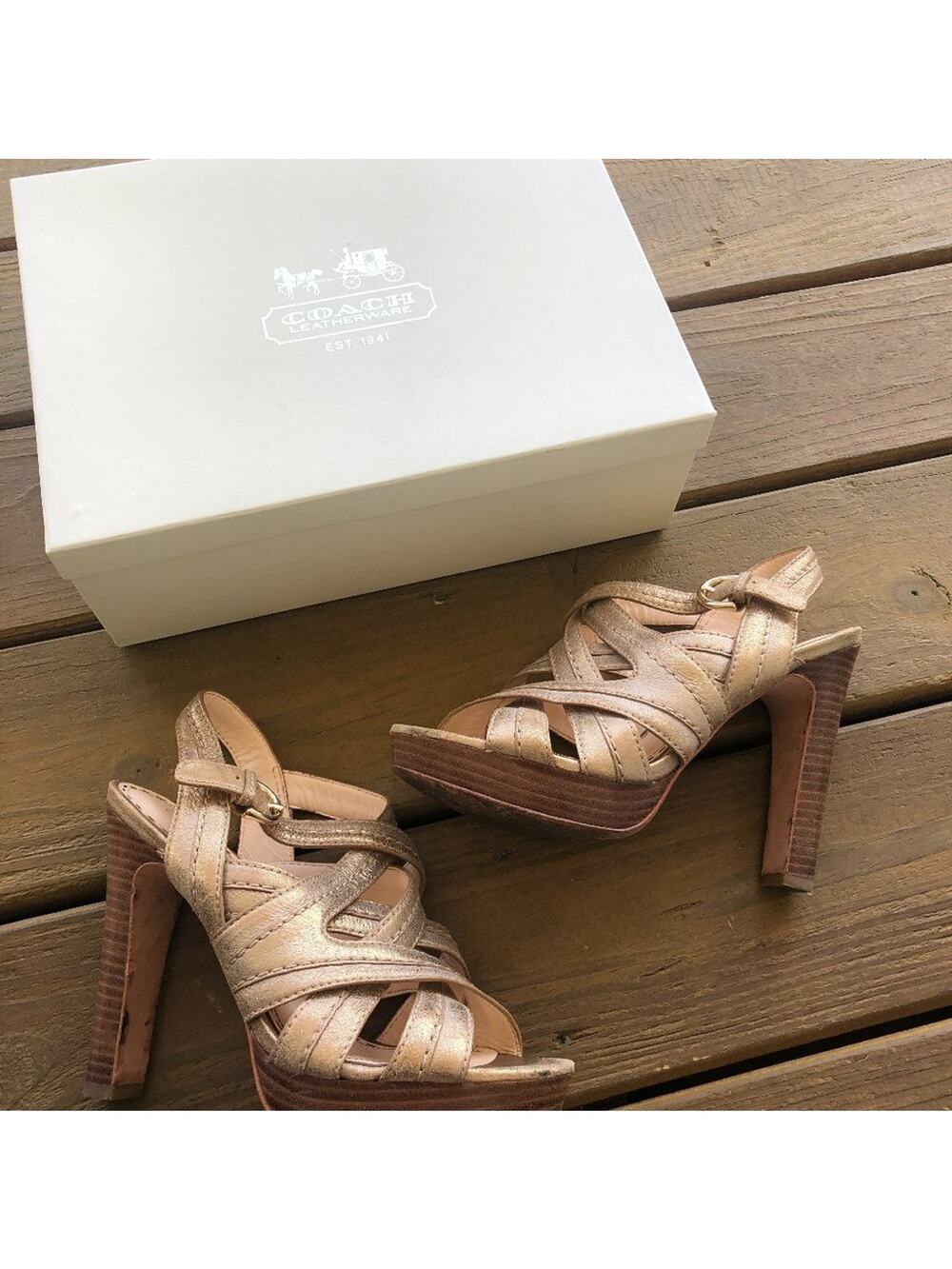 Coach Brynne Bronze Brushed Metal Multi-Strap Heel